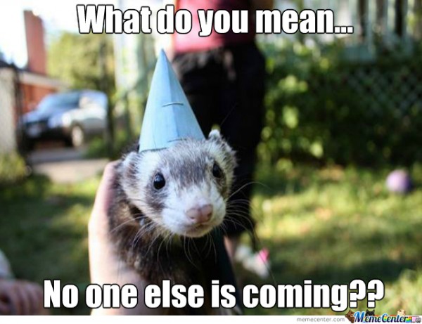 Funny-Ferret-Pictures-8-600x461.jpg