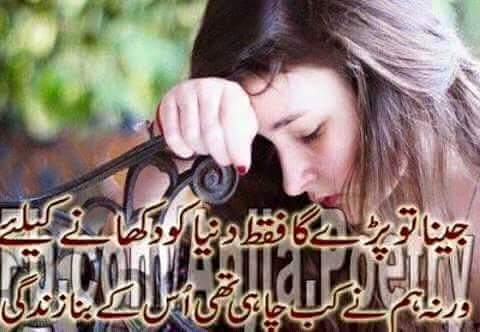 IMG-20160312-WA0004.jpg
