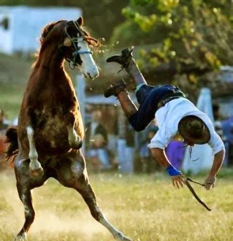amazing-funny-pictures-free-download-2.jpg