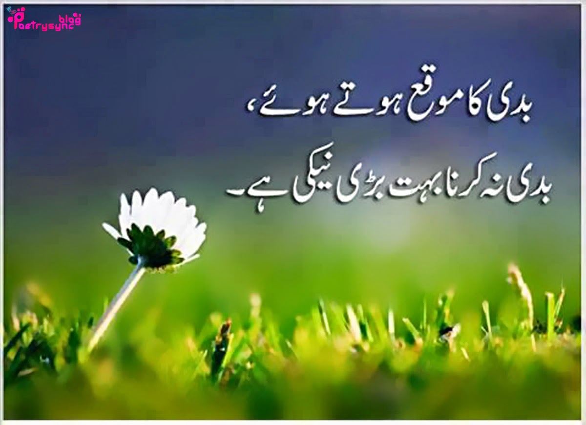 Islamic-urdu-quotes-badi-ka-moqa-hoty-howey-badi-na-karna-buhat-bari-naiki-ha.jpg