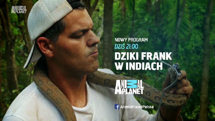 Nat Geo Wild HD 11258 H 13E