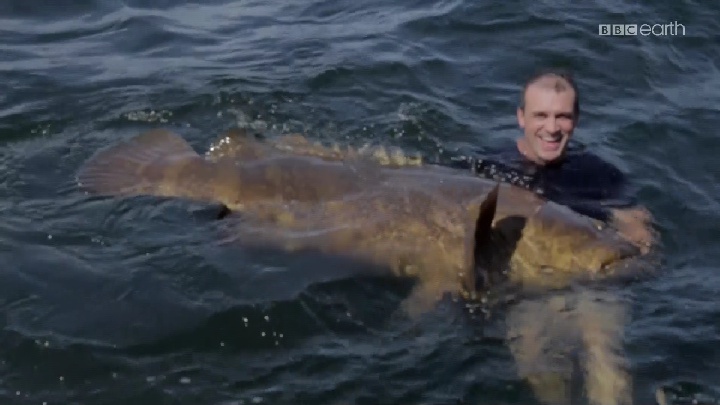 BBC earth HD  10834 v  13 E