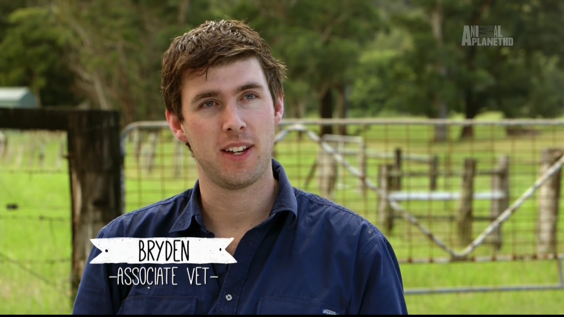 Animal Planet HD 85E 11840