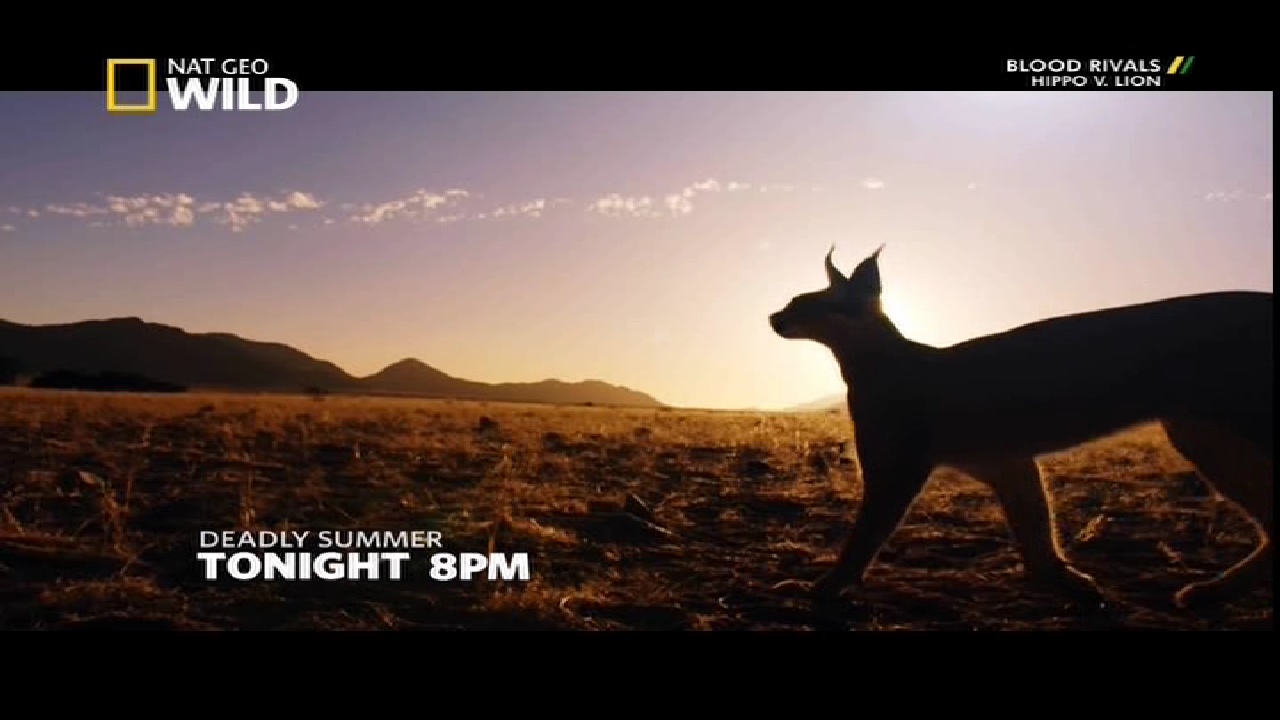 NGC WILD, 95 E, 12647 V