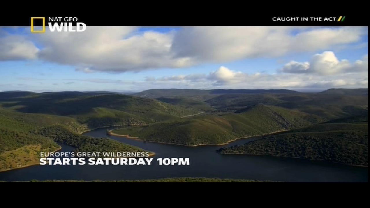 NGC WILD, 95 E, 12647 V