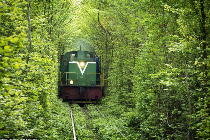 Ukraine-Tunnel-Of-Love-4.jpg