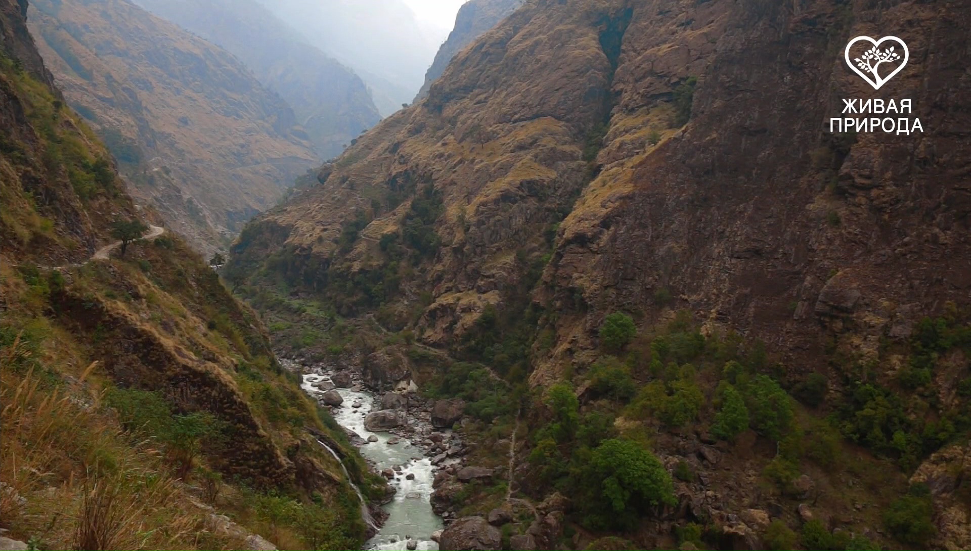 Perviy kanal HD 85E 11960