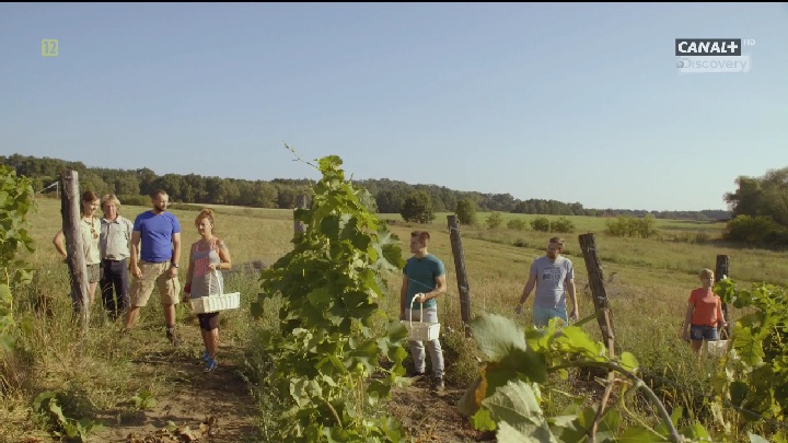 Canal+ Discovery  11449  13E