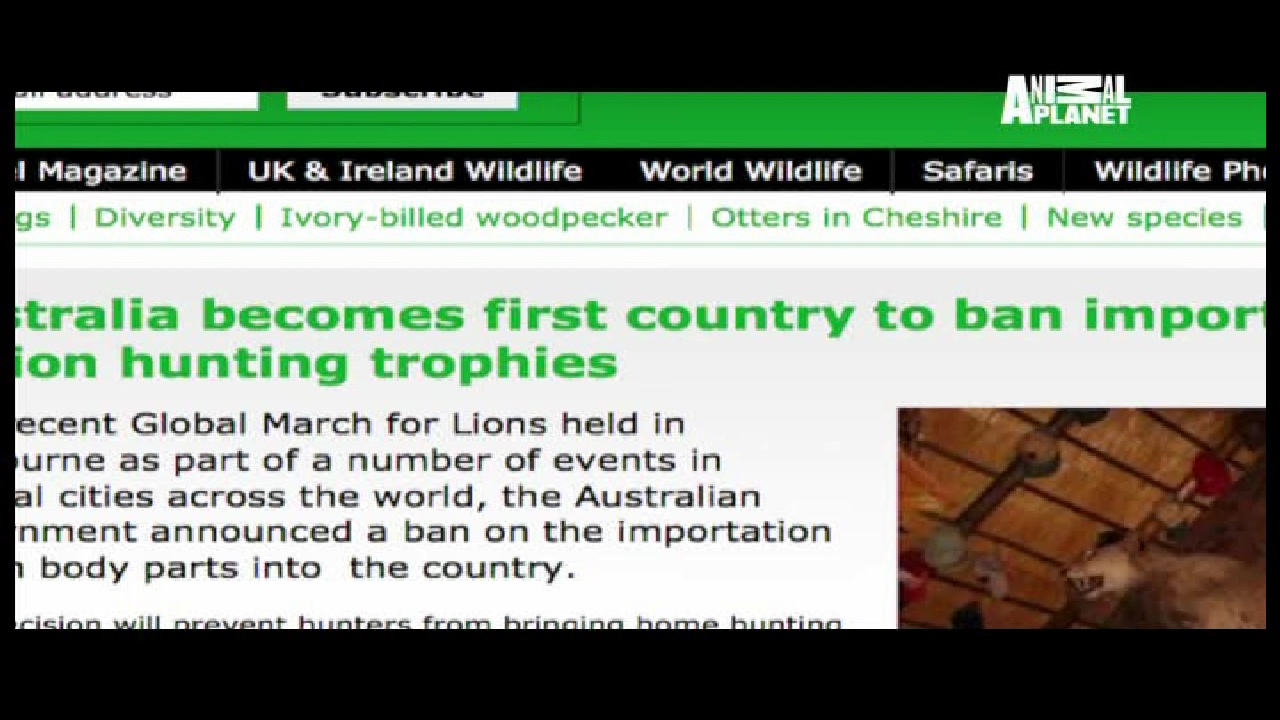 Animal Planet, 95 E, 12647 H