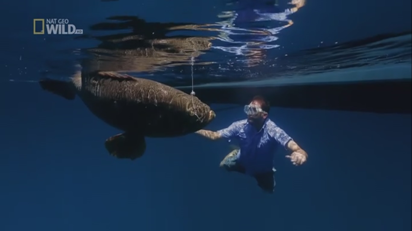 Hot Bird 13C, 11258.00 H