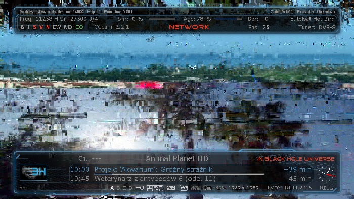 animal hd.jpg