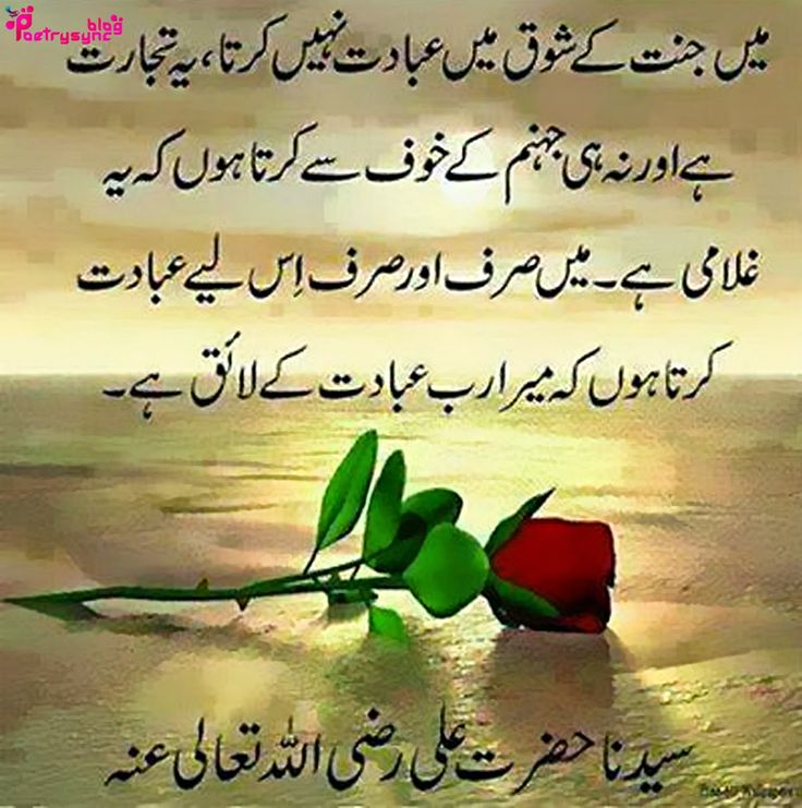 358c969fb2852ae24f4ccfb3ac7f8cdd.jpg