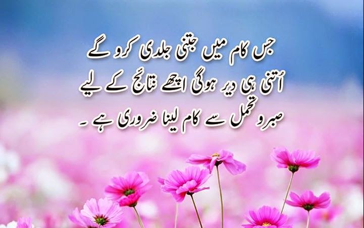 urdu inspirational quotes (12).jpg