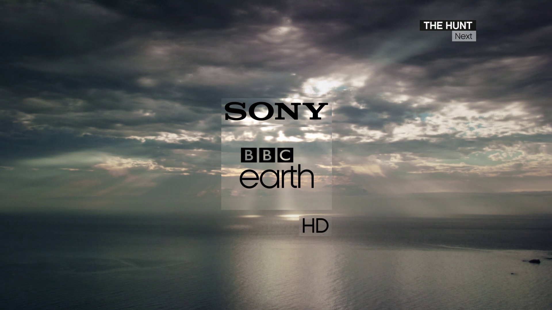 sony14.jpg