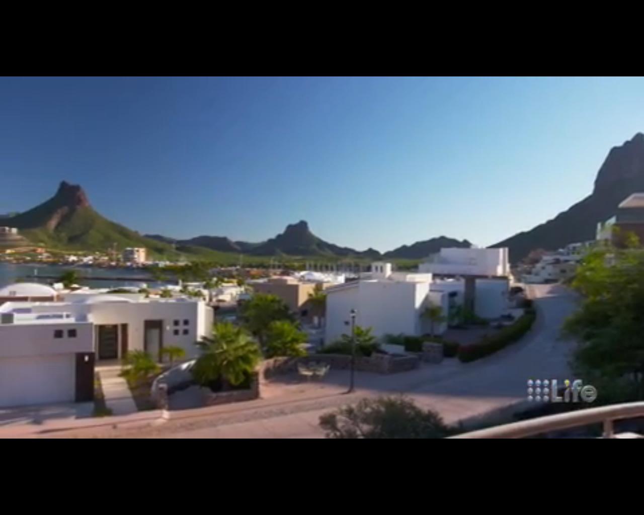 9 life<br />Live stream