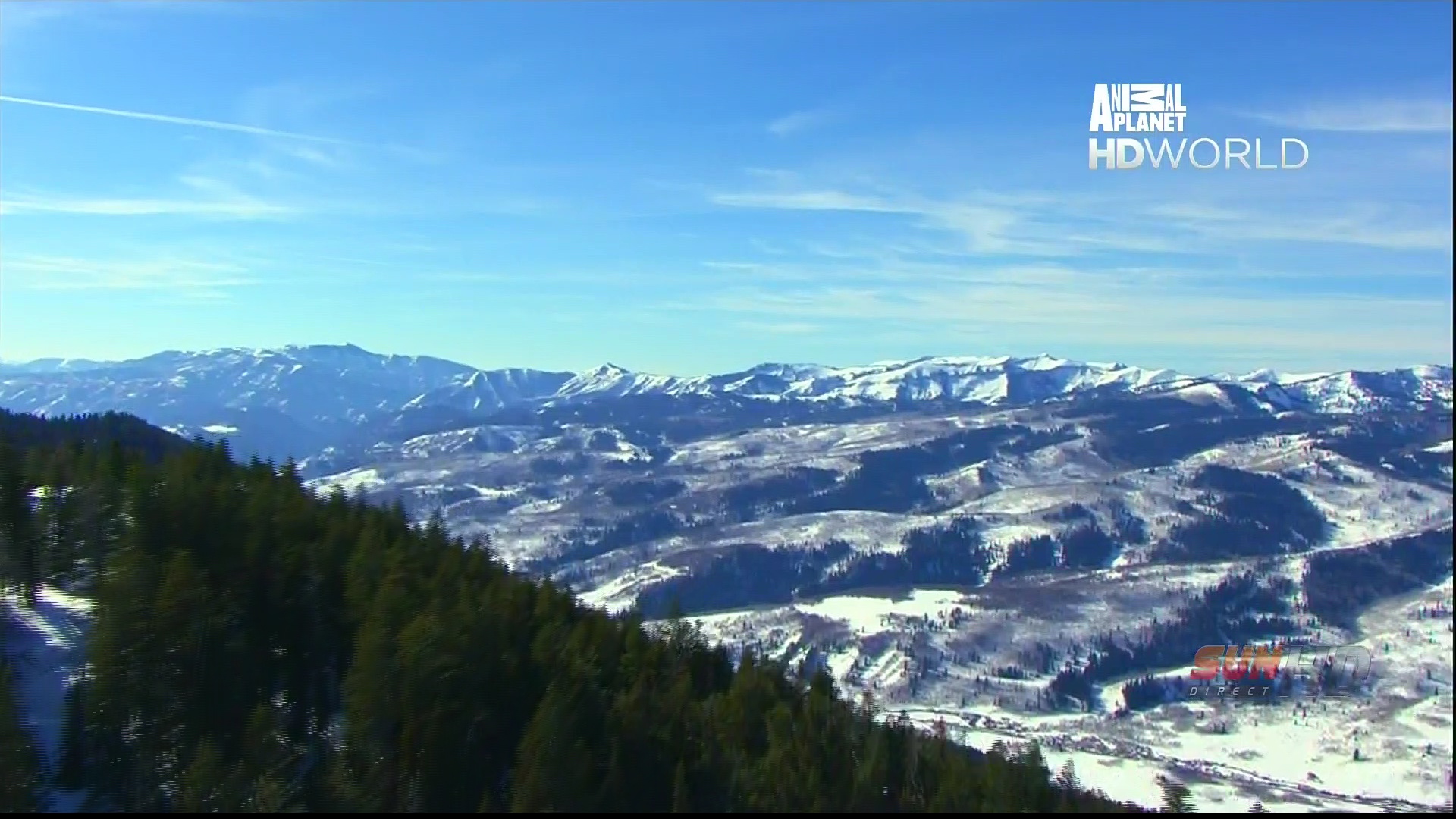 Animal Planet HD 93E 10972