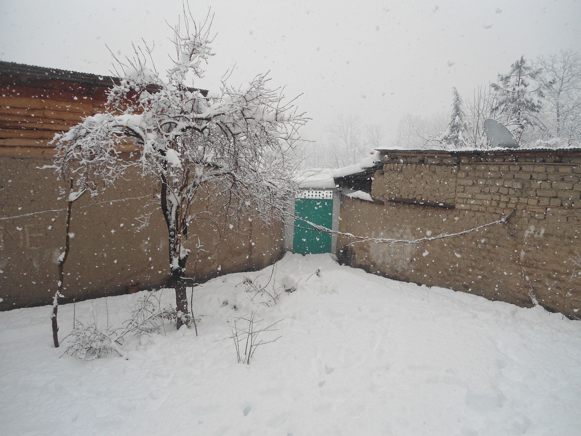 DSC03202.JPG