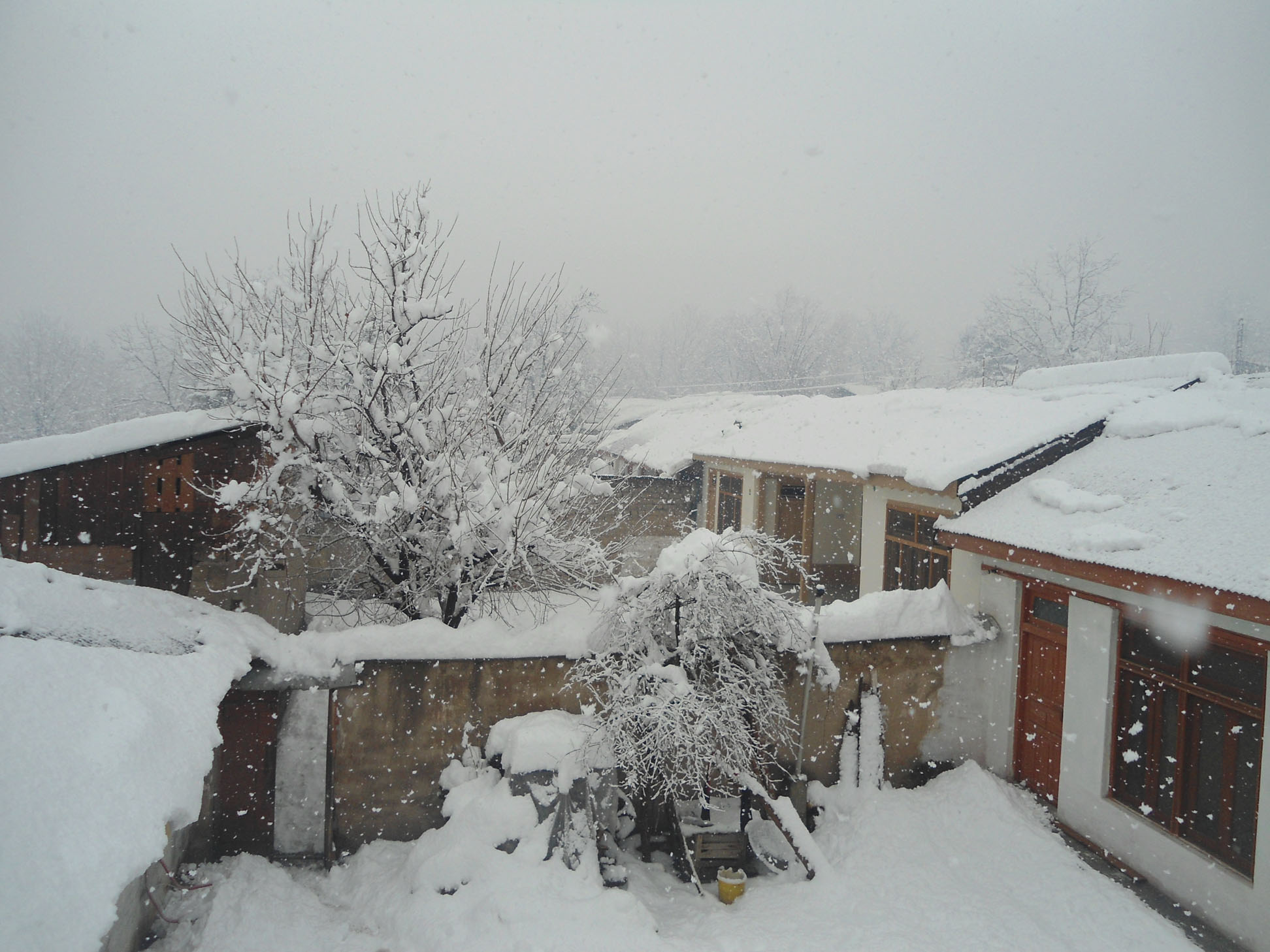 DSC03207.JPG