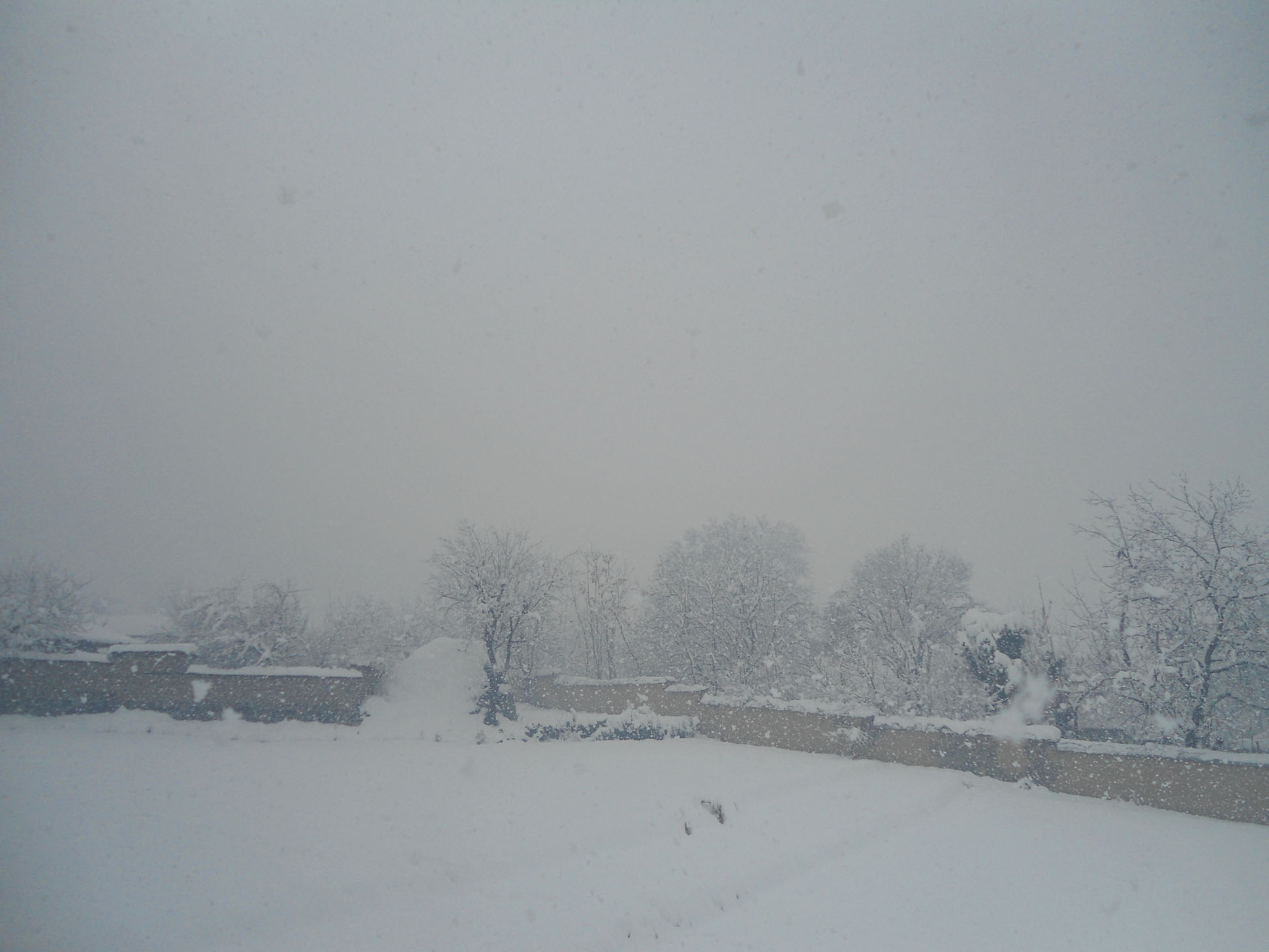 DSC03210.JPG