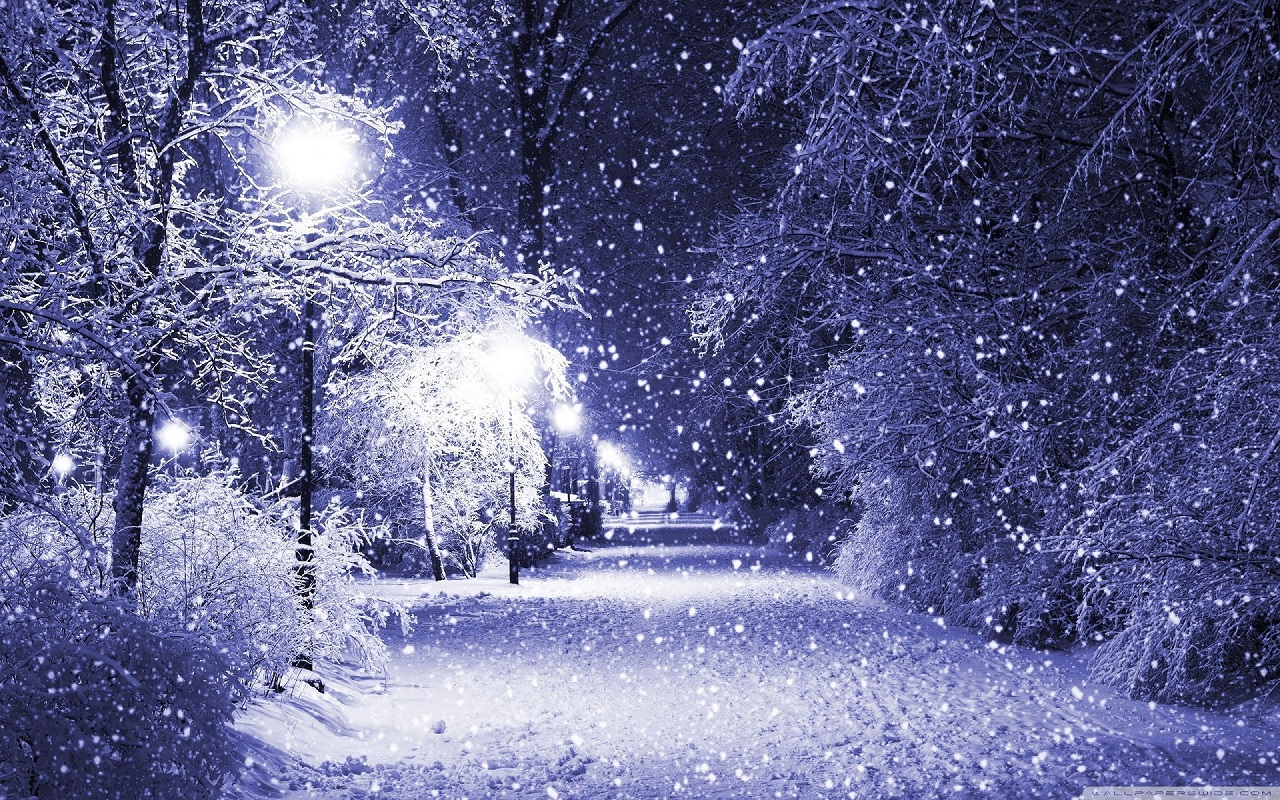 65.jpg