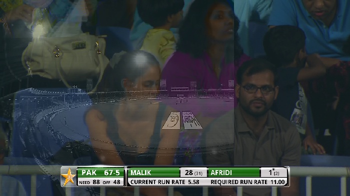 CRICKET3.jpg