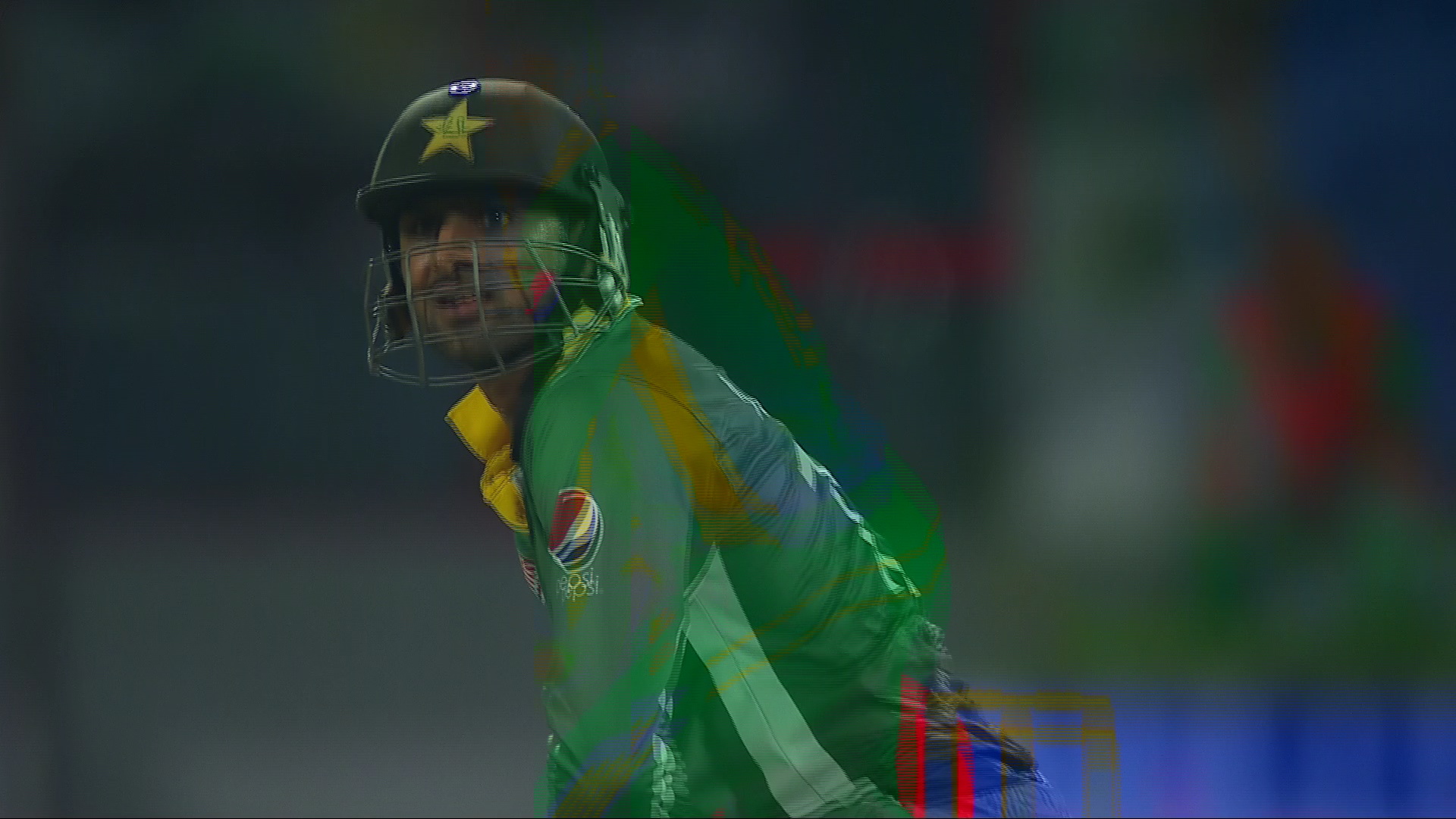 cricket8.jpg