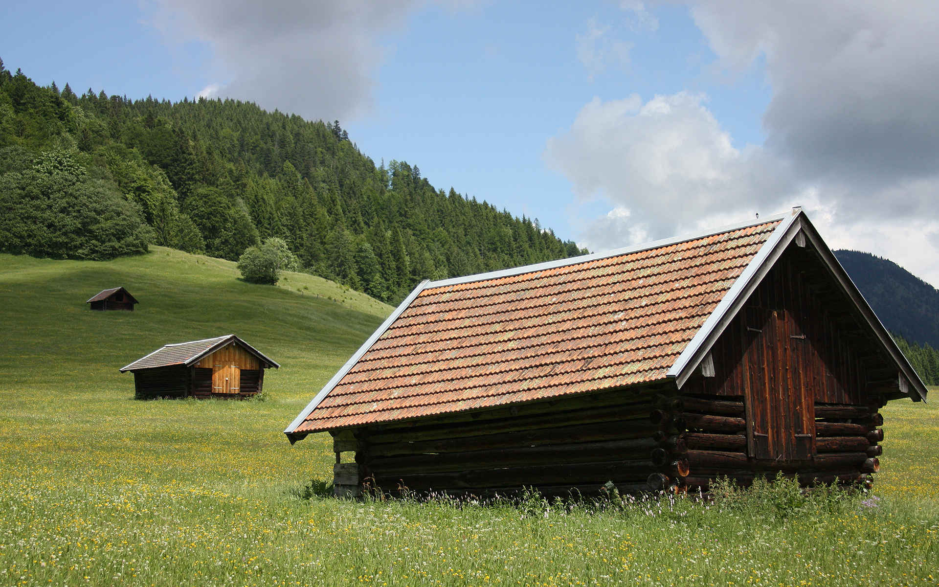 193.jpg