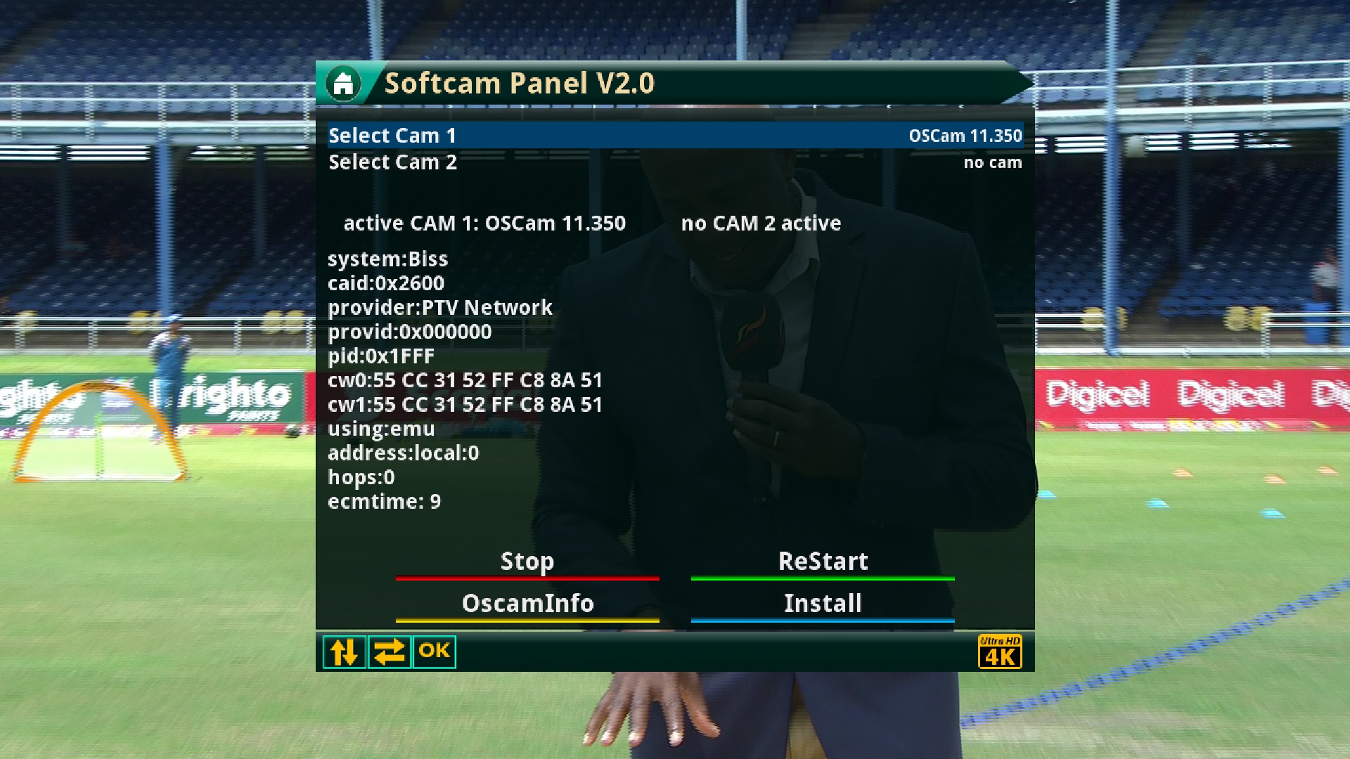 T203.jpg