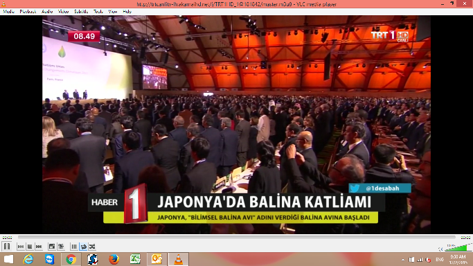 Screenshot (79).png