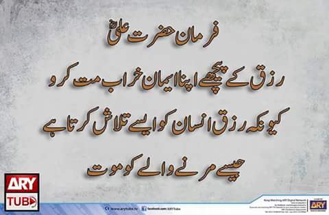 FB_IMG_1494853225917.jpg