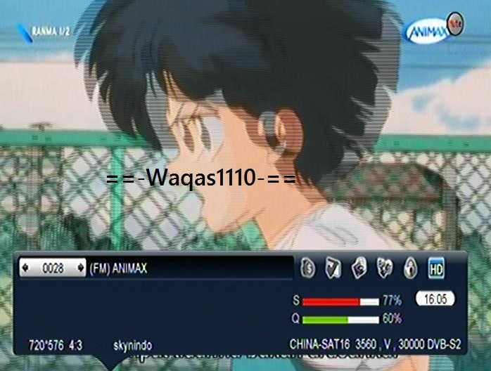 08.jpg
