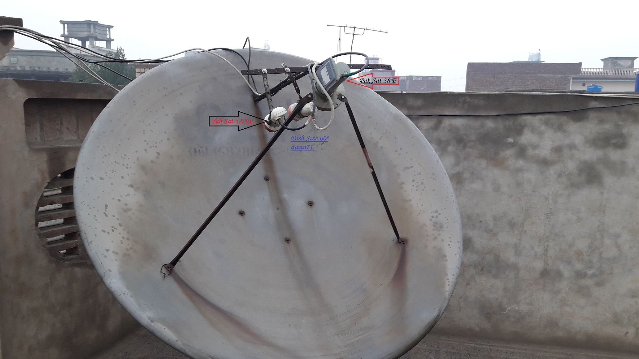 dish.jpg