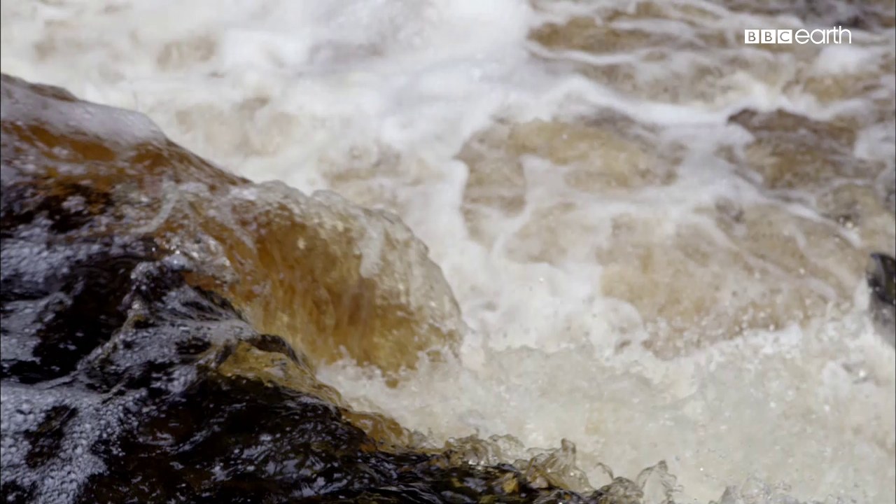 vlcsnap-2015-12-06-06h59m32s312_1280x720.jpg
