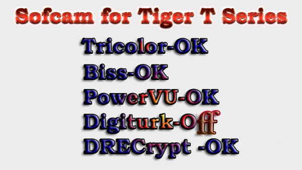TIGER.jpg