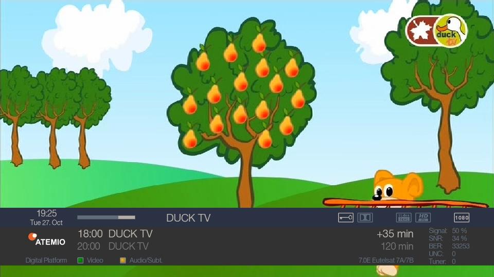ducktv.JPG