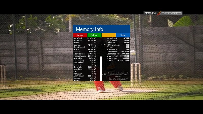 Memory Info.jpg