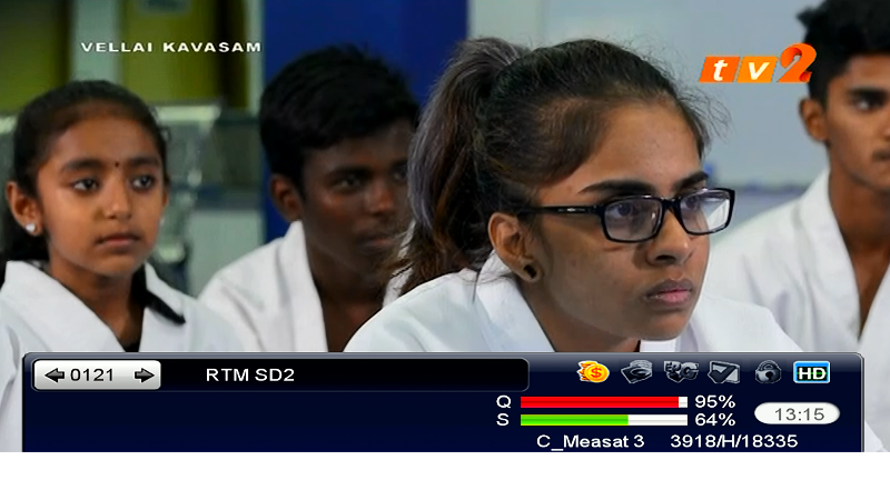 RTM SD2.png