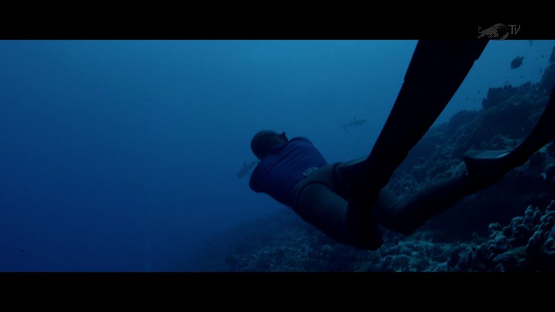 screenshot (1).jpg