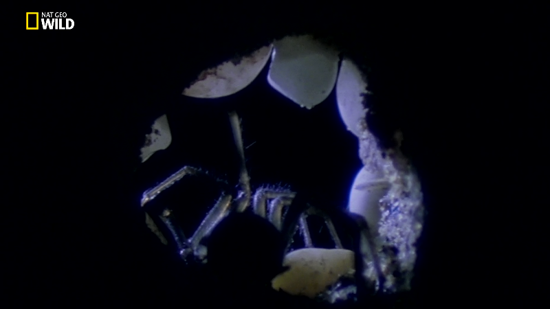 Screenshot_2007-01-01-17-09-14.png