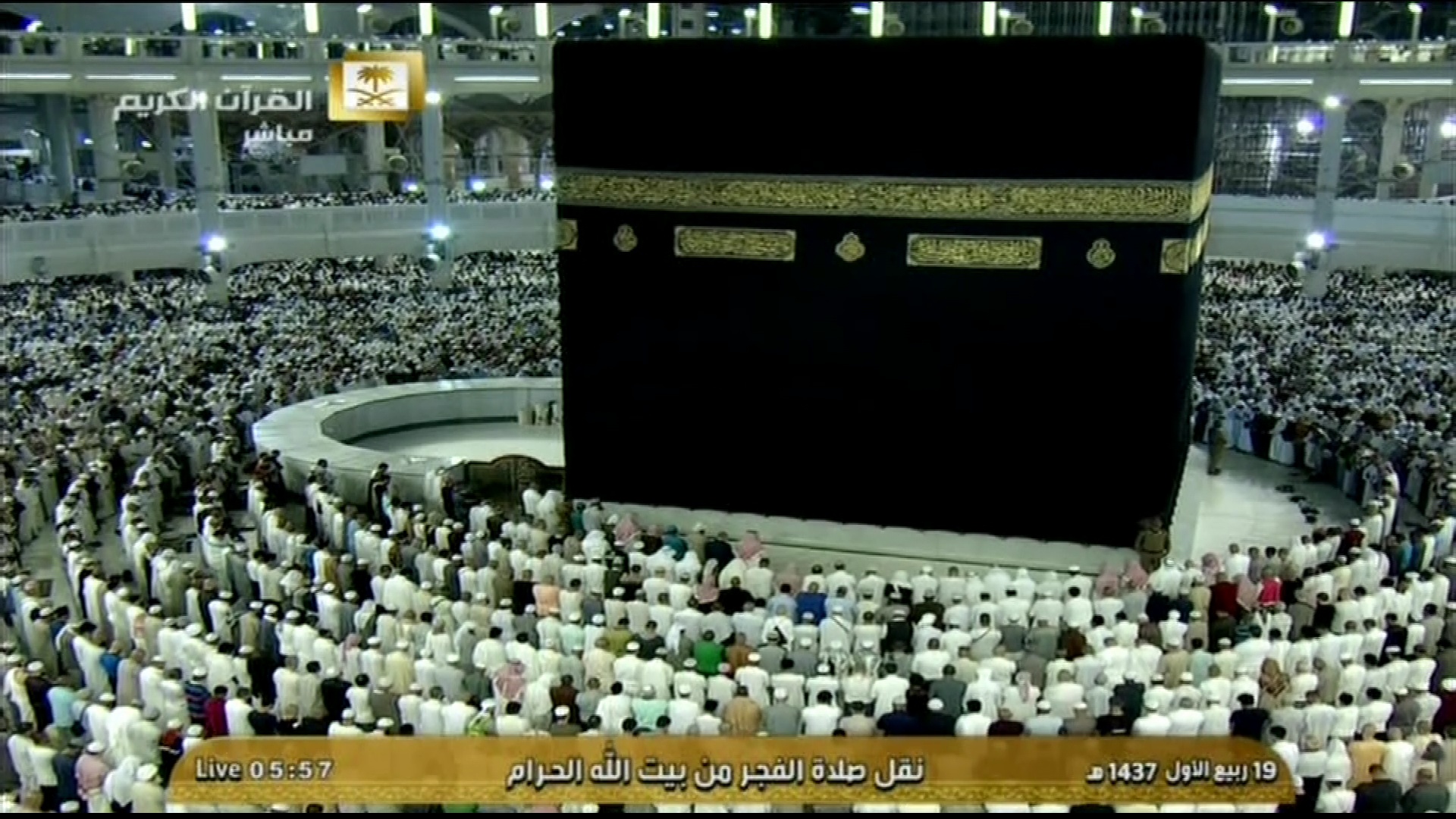 saudi1.jpg
