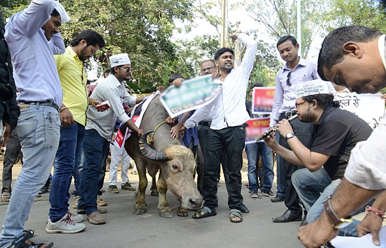 aap-protest-in-front-of-minister-s-bungalow-5639f7b43931c_l.jpg