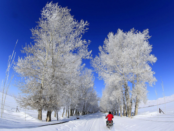 potd-winter_3540257k.jpg