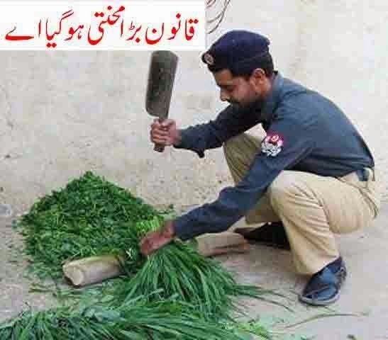 Top-Funny-Pictures-Of-Pakistani-Police.jpg