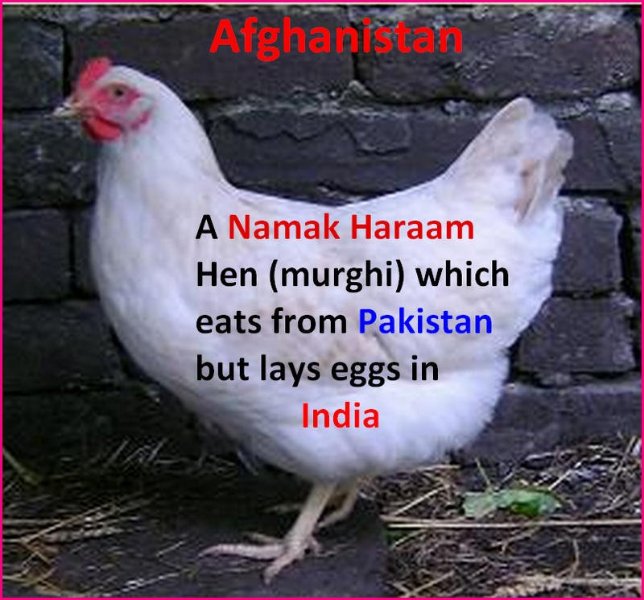 afghan 2.jpg