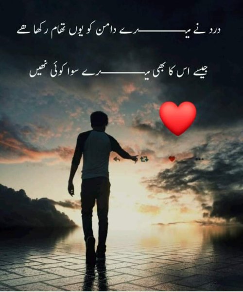 FB_IMG_1567059620403.jpg