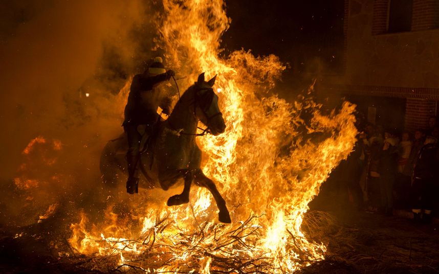 potd-horse_3551732k.jpg