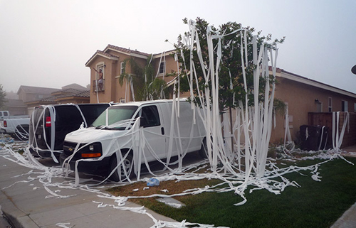 funny-house-practical-joke-toilet-paper-halloween-trees.jpg