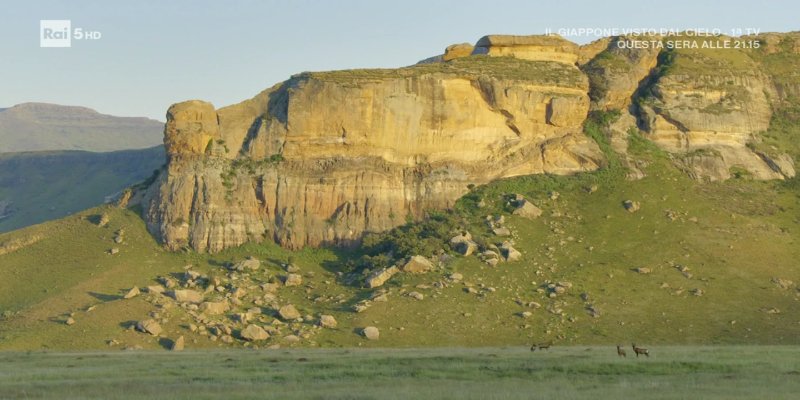 Screenshot_20200719-185432.jpg