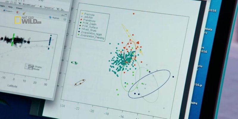 Screenshot_20200722-093743.jpg