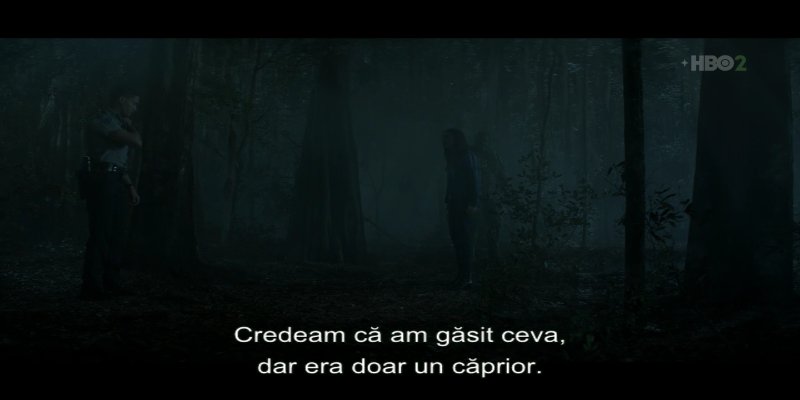 Screenshot_20200729-235234.jpg